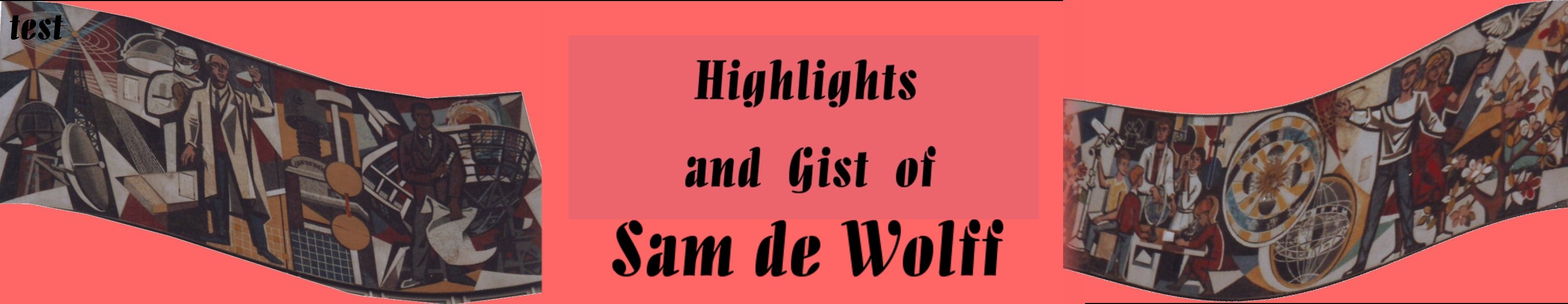 Logo Highlights and Gist of Sam de Wolff