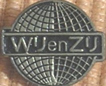 Picture of CNV pin